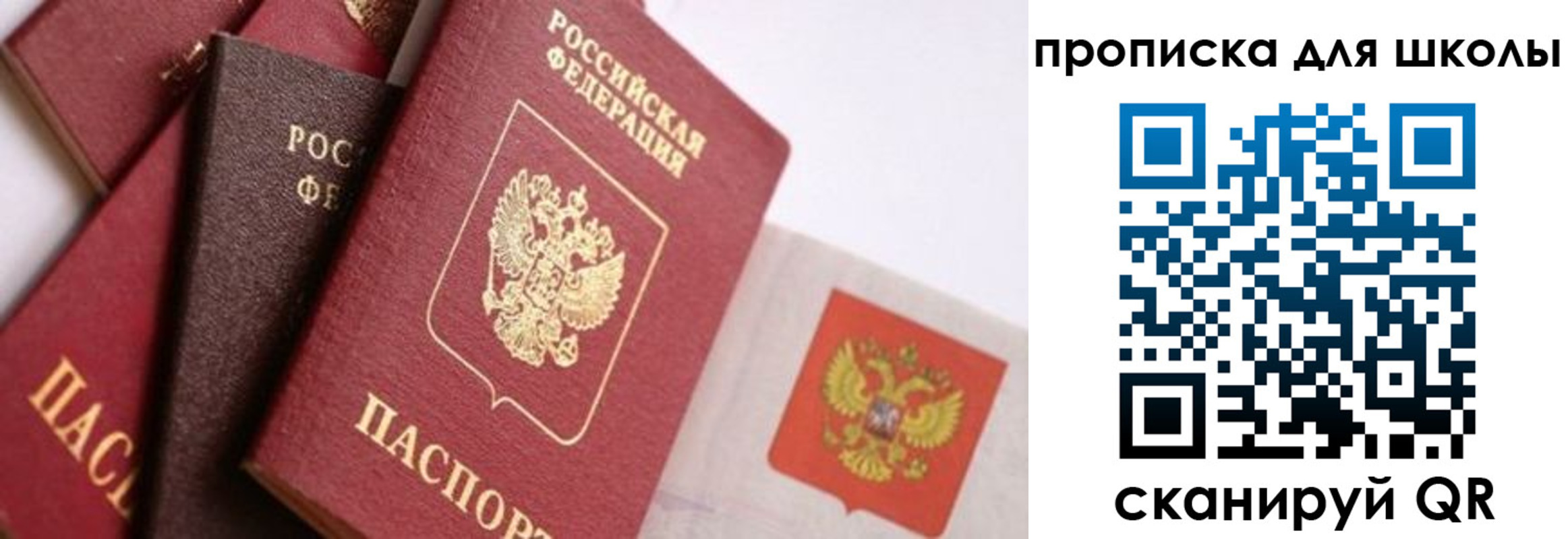 прописка поиск в Полевском